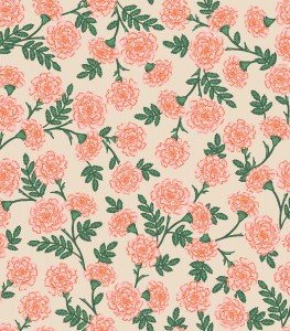 rp904bu4_dianthus_blush