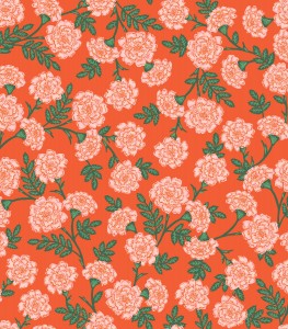 rp904re3_dianthus_red