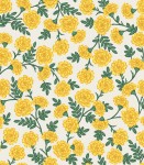 rp904ye1_dianthus_yellow
