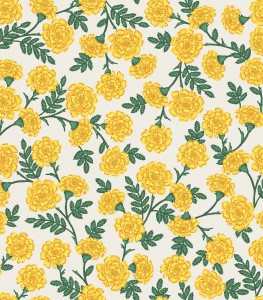 rp904ye1_dianthus_yellow