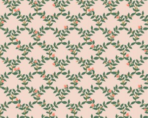 rp908bl1m_arbor_rose_blush