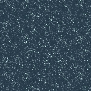 cc405ds1_galaxy_dark_sky