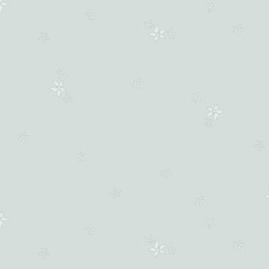rj6041mi3_estrella_mint