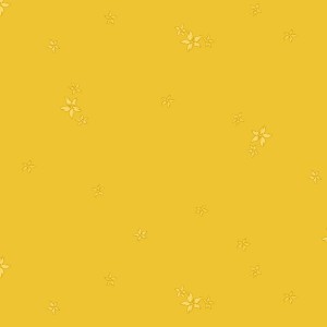 rj6041sg6_estrella_stay_gold