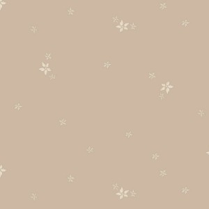 rj6041ta1_estrella_tan
