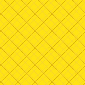 rj6042as1_criss_cross_plaid_always_sunny