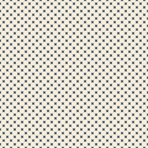 rj6045bl2_ambiguous_blueberries