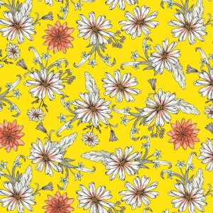rj6061ca2_darling_daisy_canary