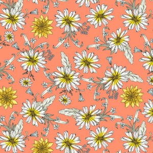 rj6061co4_darling_daisy_coral