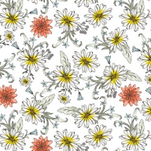 rj6061wh1_darling_daisy_white