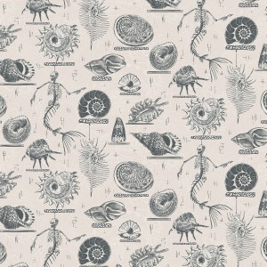 Ocean Treasures_col4p3