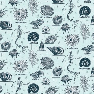 Ocean Treasures_col1