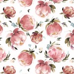 ni101ro1d_peony_elegance_rose