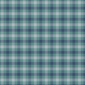 rj6047oc1_check_plaid_ocean