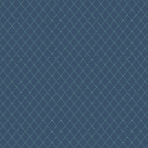 rj6048na1_trellis_navy