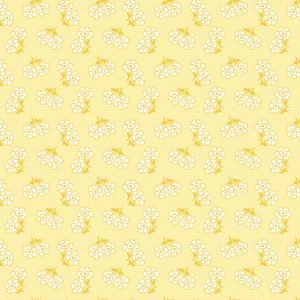 rj6112co3_sweet_duo_corn