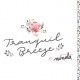tranquilbreeze_header (1)