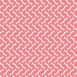 2780-33-puzzle-salmon_01