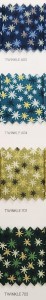 TWINKLE 2