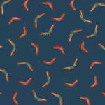 boomerang-601