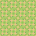 ff2800-42-square-dance-lime_01