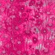 3531-002+Love+Me+Love+Me+Not-raspberry