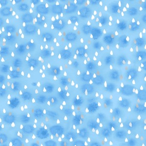 3605-001 Raindrops-sky