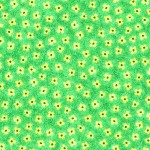 SE10316-1