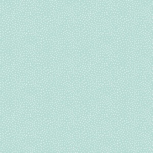rj4010mi12_happiest_dots_mint