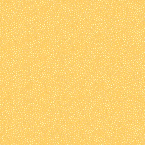 rj4010ms4_happiest_dots_morning_sun