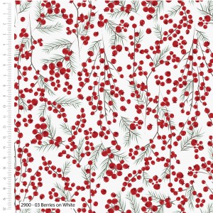 Foraging in the Forest - Sales Sheets_2900 - 03 Berries on White - Web Image (2022_08_11 03_53_06 UTC) - Copy