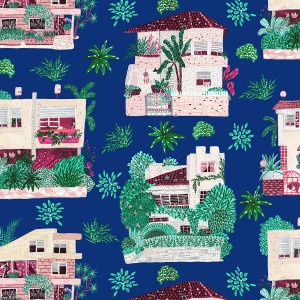 ai100sn2d_dwelling_summer_night