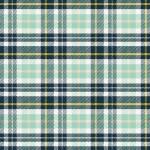 Sasaquatch_plaid5