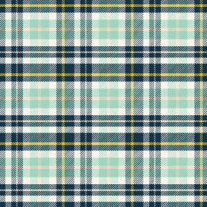 Sasaquatch_plaid5