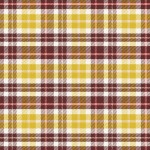 Sasaquatch_plaid5