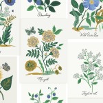rp1101bm4c_botanical_prints_blue_multi