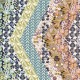 PennyCressGarden_Header