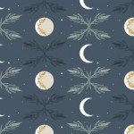 ac100ni1_moon_night