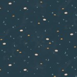 ae104na1_stargazing_navy