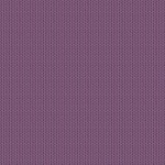 hj204wo4_morning_dew_wild_orchid
