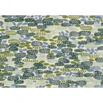 je102al1u_pond_algae