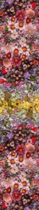 Flowers in a painterly style.