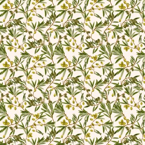 rj4301og1_italian_olives_olive_green