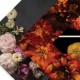shadowandelegance_header